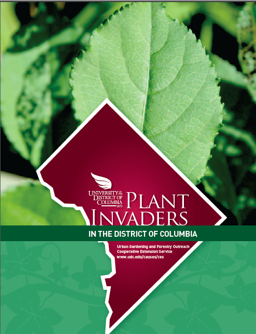 Plant Invaders in the District of Columbia