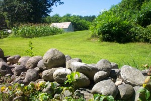 Stone-RoundBoulderFarm