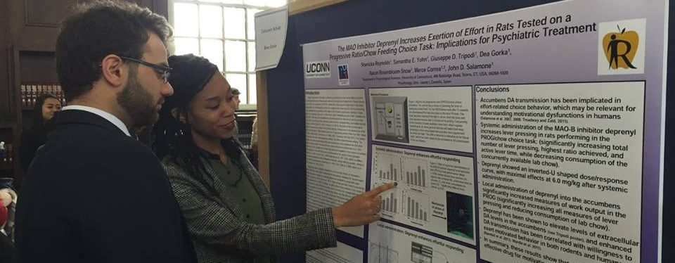 thesis theses undergraduate honors thesis theses undergraduate honors