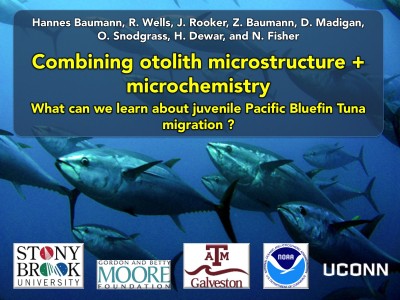 Baumann et al. Otolith Symposium